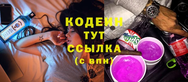 индика Рославль