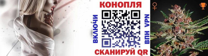 Бошки марихуана MAZAR Кедровый